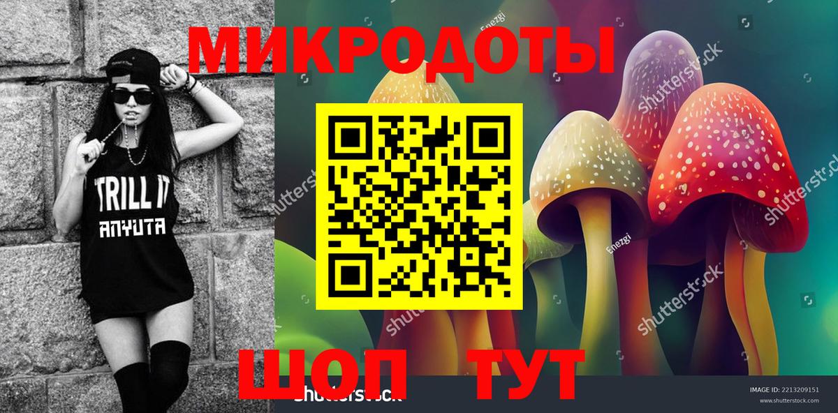 Галлюциногенные грибы Psilocybe Нурлат