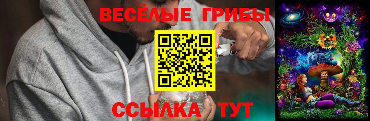 Галлюциногенные грибы Psilocybe  Вход с VPN  Галлюциногенные грибы прущие грибы  Нурлат 